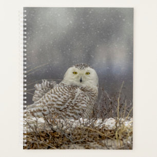 Snowy Owl 2026 Planner: Winter Wildlife Photograph Planner