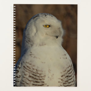 Snowy Owl 2026 Planner: Winter Wildlife Photograph Planner