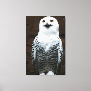 Snowy Owl 24x36 (60x90cm) waccna Canvas Print