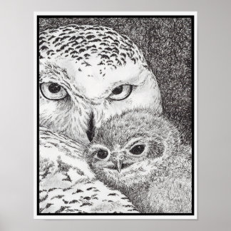 Snowy Owl and Baby Owl Poster