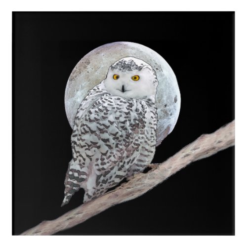 Snowy Owl and Moon Painting _ Original Bird Art
