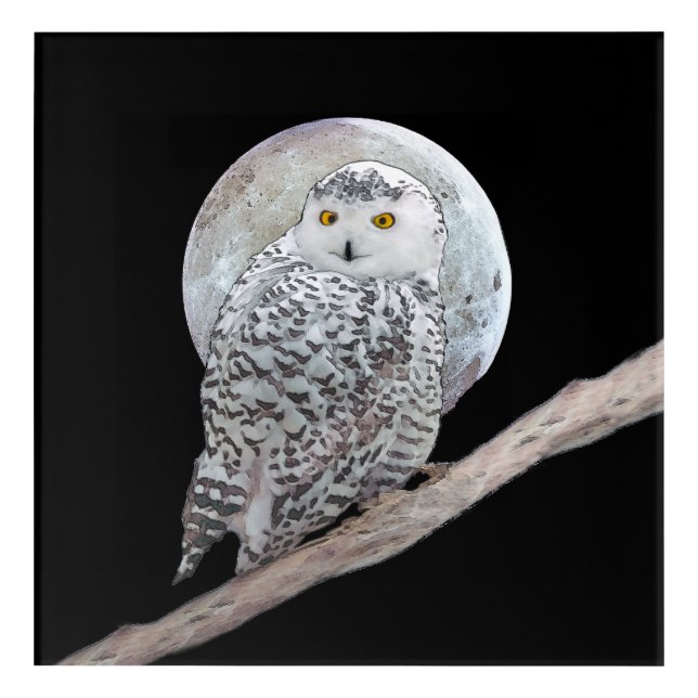 Snowy Owl and Moon Painting - Original Bird Art (Front)