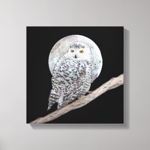 Snowy Owl and Moon Painting - Original Bird Art Canvas Print