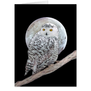 Snowy Owl and Moon Painting - Original Bird Art Card