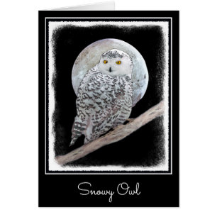 Snowy Owl and Moon Painting - Original Bird Art Cards