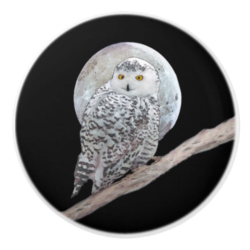 Snowy Owl and Moon Painting _ Original Bird Art Ceramic Knob