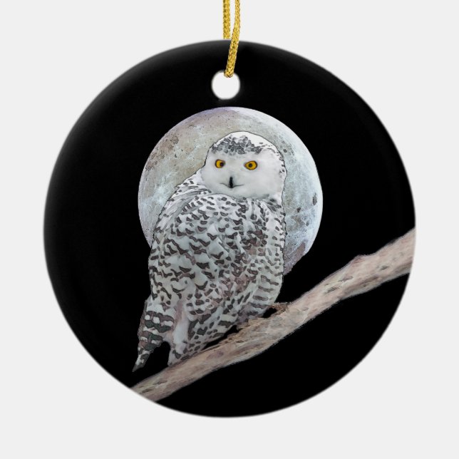 Snowy Owl and Moon Painting - Original Bird Art Ceramic Ornament (Front)