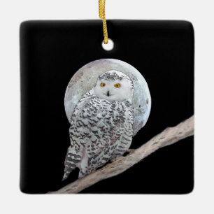 Snowy Owl and Moon Painting - Original Bird Art Ceramic Ornament