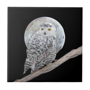Snowy Owl and Moon Painting - Original Bird Art Ceramic Tile