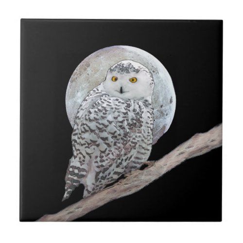 Snowy Owl and Moon Painting _ Original Bird Art Ceramic Tile