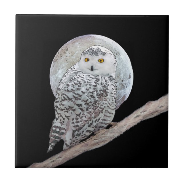 Snowy Owl and Moon Painting - Original Bird Art Ceramic Tile (Front)