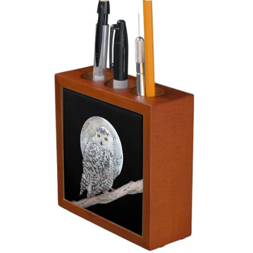 Snowy Owl and Moon Painting _ Original Bird Art Desk Organizer