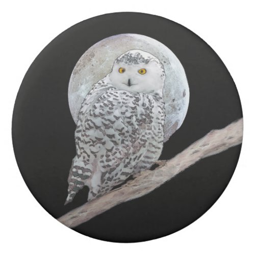 Snowy Owl and Moon Painting _ Original Bird Art Eraser