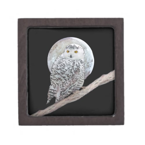 Snowy Owl and Moon Painting _ Original Bird Art Gift Box