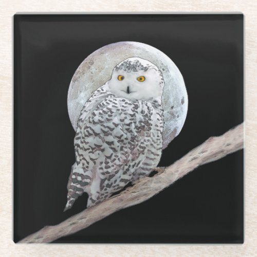 Snowy Owl and Moon Painting _ Original Bird Art Glass Coaster