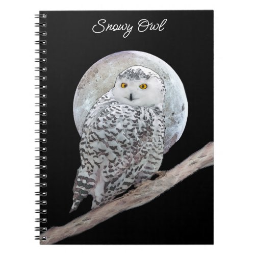 Snowy Owl and Moon Painting _ Original Bird Art Notebook