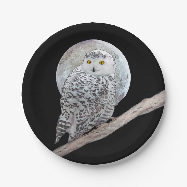 Snowy Owl and Moon Painting - Original Bird Art Paper Plates (Front)