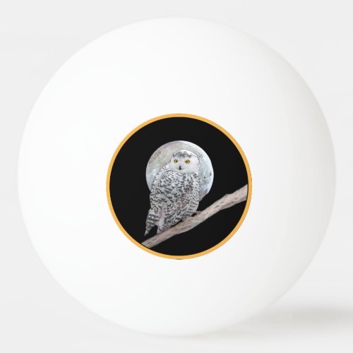 Snowy Owl and Moon Painting _ Original Bird Art Ping Pong Ball