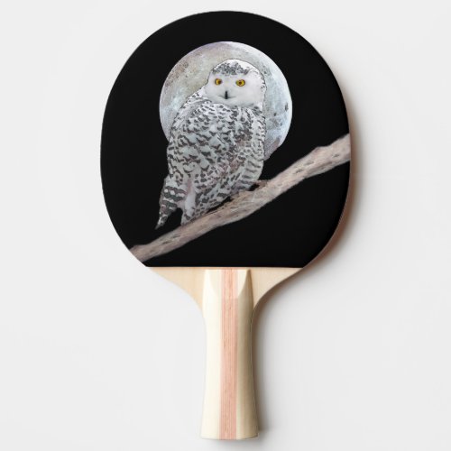 Snowy Owl and Moon Painting _ Original Bird Art Ping Pong Paddle