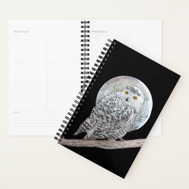 Snowy Owl and Moon Painting - Original Bird Art Planner (Display)