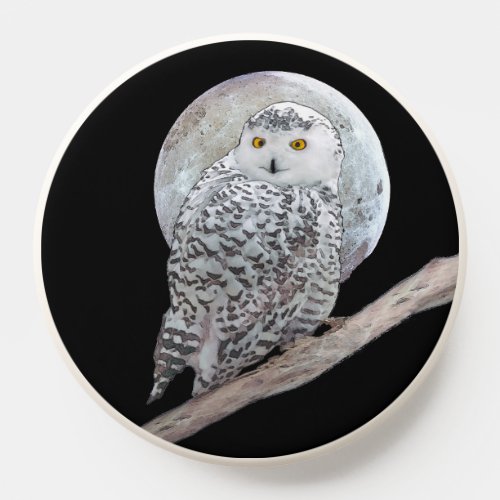 Snowy Owl and Moon Painting _ Original Bird Art PopSocket