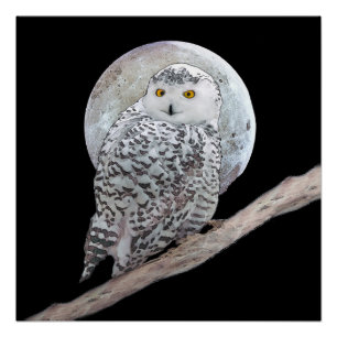 Snowy Owl and Moon Painting - Original Bird Art Poster