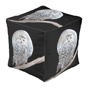 Snowy Owl and Moon Painting - Original Bird Art Pouf