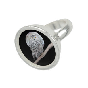 Snowy Owl and Moon Painting - Original Bird Art Ring