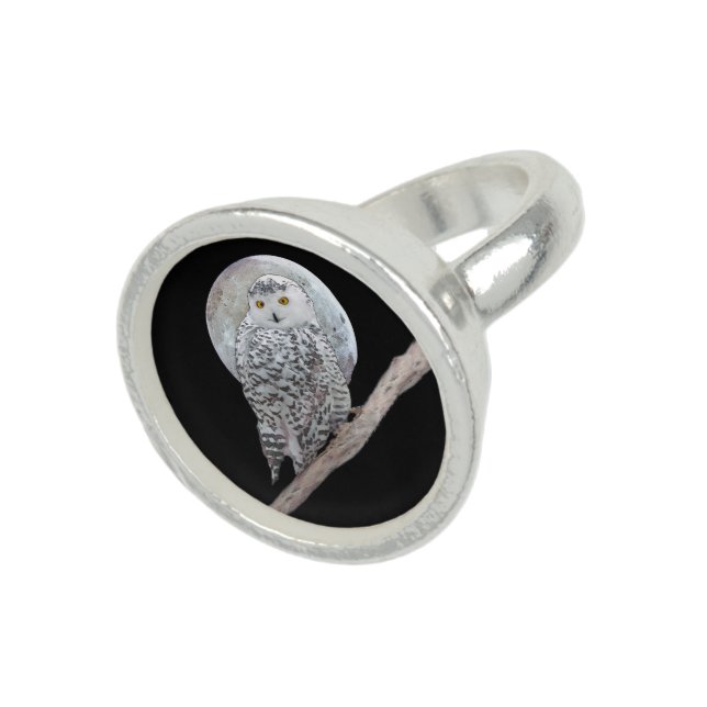 Snowy Owl and Moon Painting - Original Bird Art Ring (Top)