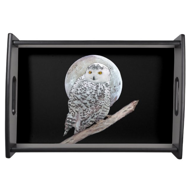 Snowy Owl and Moon Painting - Original Bird Art Serving Tray (Front)