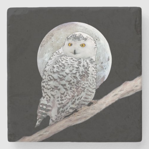 Snowy Owl and Moon Painting _ Original Bird Art Stone Coaster
