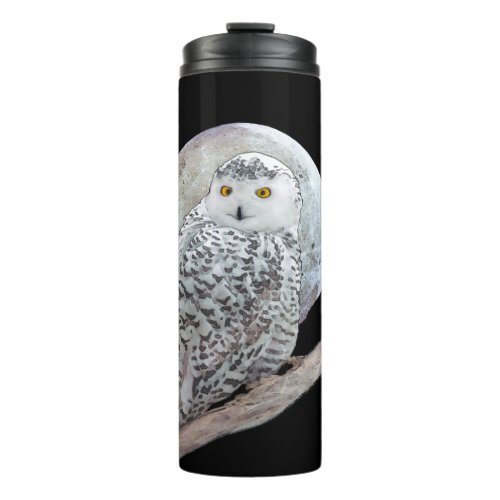 Snowy Owl and Moon Painting _ Original Bird Art Thermal Tumbler