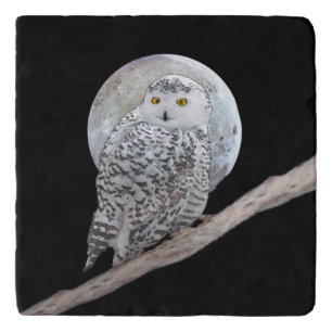 Snowy Owl and Moon Painting - Original Bird Art Trivet