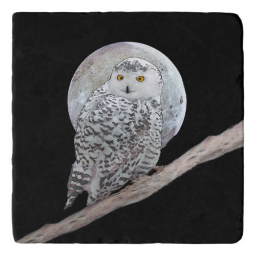 Snowy Owl and Moon Painting _ Original Bird Art Trivet