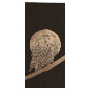 Snowy Owl and Moon Painting - Original Bird Art Wood Flash Drive