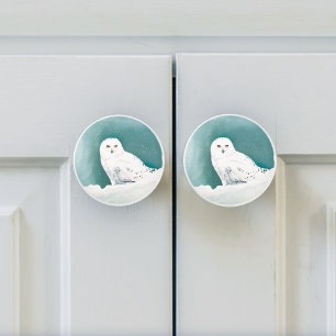 Snowy Owl Arctic Winter Sky Snow Teal Ceramic Knob