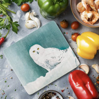 Snowy Owl Arctic Winter Sky Snow Teal