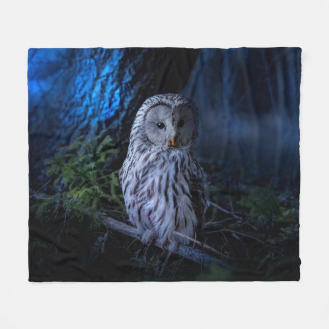 Snowy Owl at Night Fleece Blanket (Front (Horizontal))