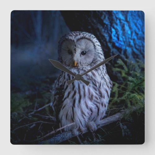 Snowy Owl at Night  Square Wall Clock