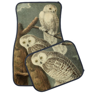 Snowy Owl Audubon Bird Artwork Car Mat