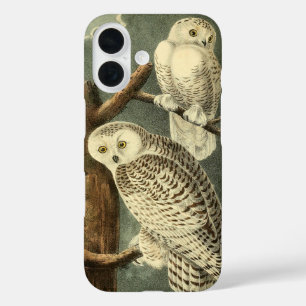 Snowy Owl Audubon Bird Artwork iPhone 16 Case