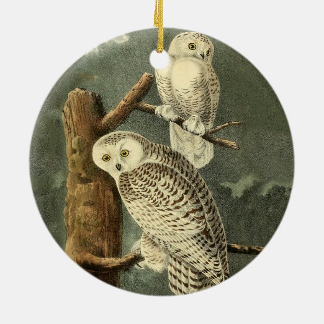 Snowy Owl Audubon Bird Artwork Ceramic Ornament (Back)