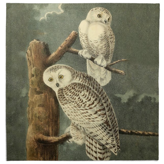 Snowy Owl Audubon Bird Artwork Cloth Napkin (Front)