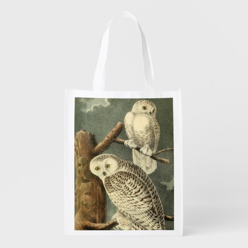 Snowy Owl Audubon Bird Artwork Grocery Bag