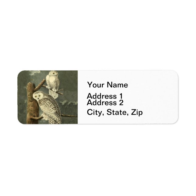 Snowy Owl Audubon Bird Artwork Label (Front)