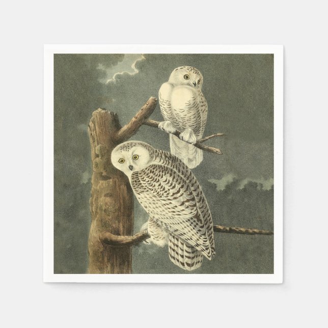 Snowy Owl Audubon Bird Artwork Paper Napkins (Front)