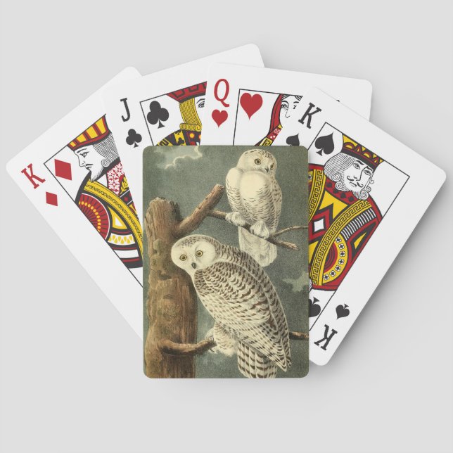 Snowy Owl Audubon Bird Artwork Poker Cards (Back)