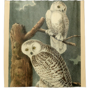 Snowy Owl Audubon Bird Artwork Shower Curtain