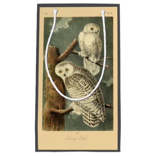 Snowy Owl Audubon Bird Artwork Small Gift Bag