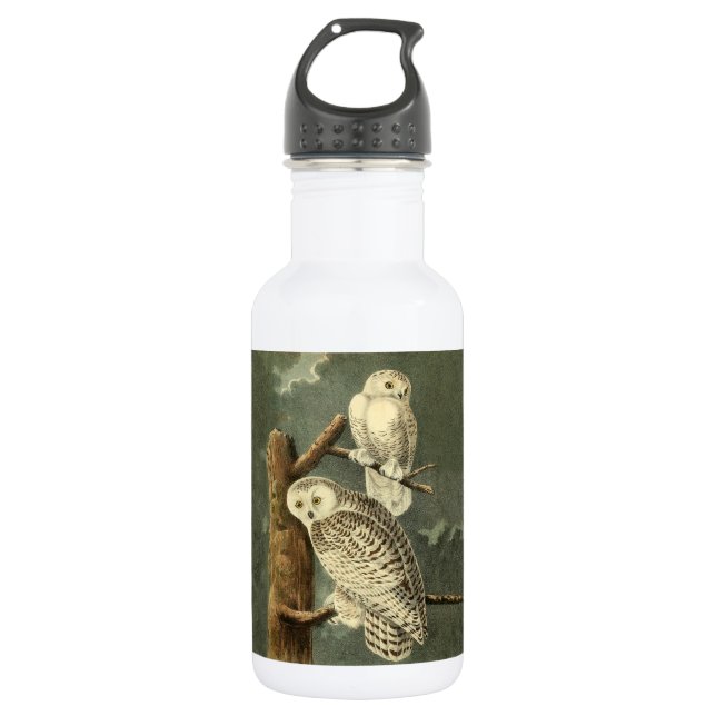 Snowy Owl Audubon Bird Artwork Stainless Steel Water Bottle (Front)